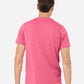 BELLA  CANVAS 3413 Triblend Tee - Back view