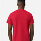Gildan 8000 Unisex DryBlend? T-Shirt - Back view