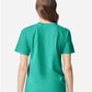 Comfort Colors 1717 Unisex Garment-Dyed Heavyweight T-Shirt - Back view