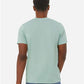 BELLA  CANVAS 3413 Triblend Tee - Back view