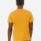 BELLA  CANVAS 3413 Triblend Tee - Back view