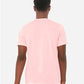 BELLA  CANVAS 3413 Triblend Tee - Back view