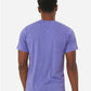 BELLA  CANVAS 3001CVC CVC Jersey Tee - Back view