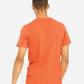 BELLA  CANVAS 3001CVC CVC Jersey Tee - Back view