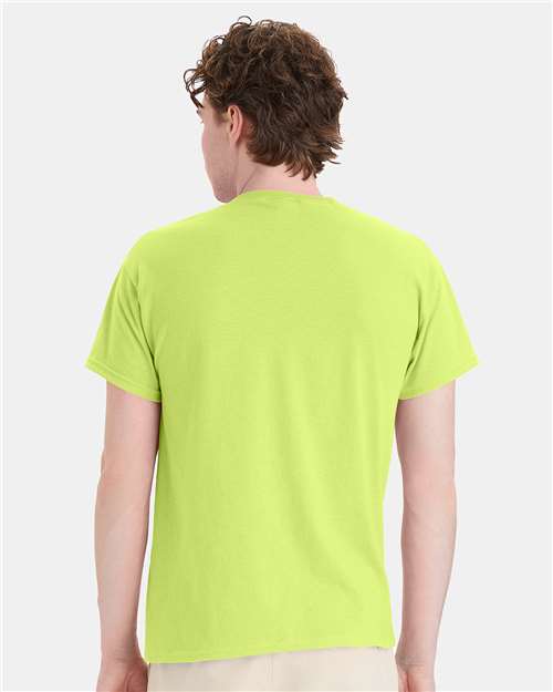 Hanes 5170 Unisex EcoSmart? T-Shirt - Back view