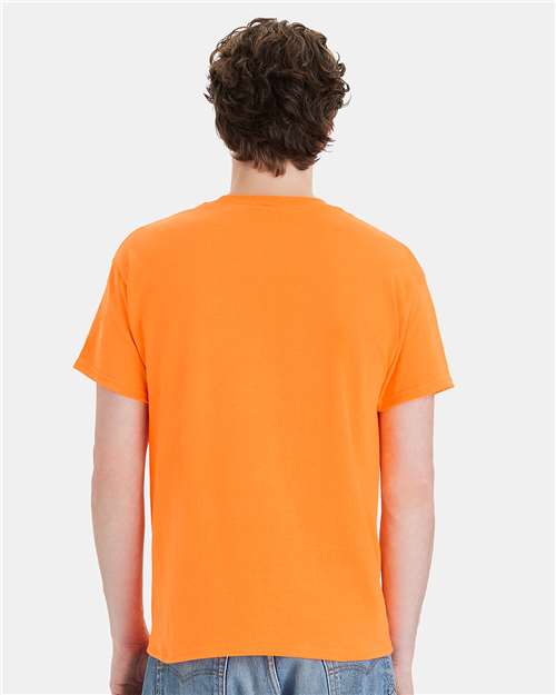 Hanes 5170 Unisex EcoSmart? T-Shirt - Back view