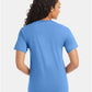 Hanes 5280 Unisex Essential-T T-Shirt - Back view