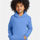 Hanes P473 Youth EcoSmart? Hooded Sweatshirt - Front view