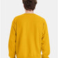 Hanes P160 Unisex EcoSmart? Crewneck Sweatshirt - Back view