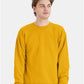 Hanes P160 Unisex EcoSmart? Crewneck Sweatshirt - Front view