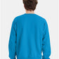 Hanes P160 Unisex EcoSmart? Crewneck Sweatshirt - Back view