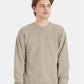 Hanes P160 Unisex EcoSmart? Crewneck Sweatshirt - Front view