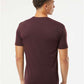 Next Level 6010 Unisex Triblend Tee - Back view