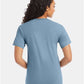 Hanes 5280 Unisex Essential-T T-Shirt - Back view