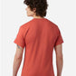 Champion T425 Unisex Classic T-Shirt - Back view