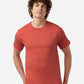 Champion T425 Men's Classic T-Shirt