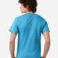 Champion T425 Unisex Classic T-Shirt - Back view