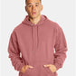 Hanes F170 Unisex Ultimate Cotton? Hooded Sweatshirt - Front view
